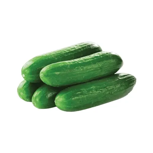 Salatalık
