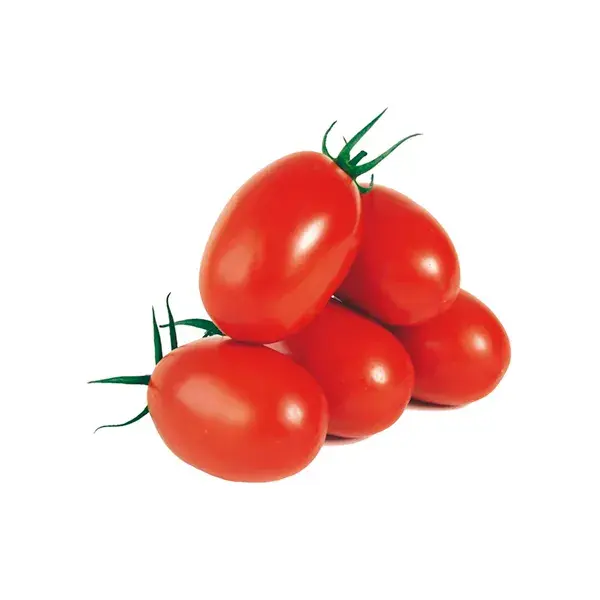 Oval Domates